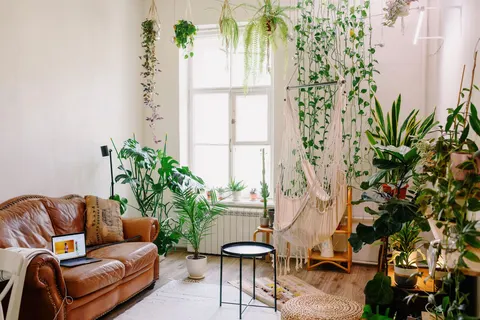 Lo que más nos gusta de Amazon para decorar las casas
