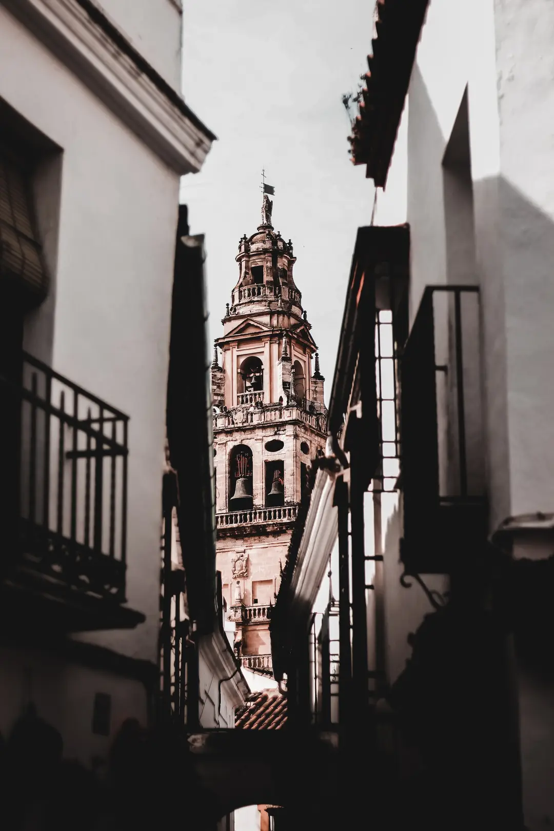 Tipología de Propiedades en Córdoba