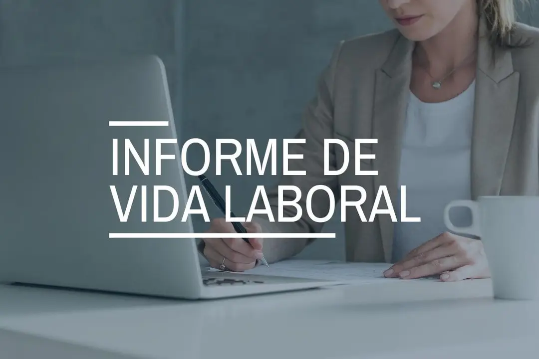 Cómo descargar la vida laboral online paso a paso